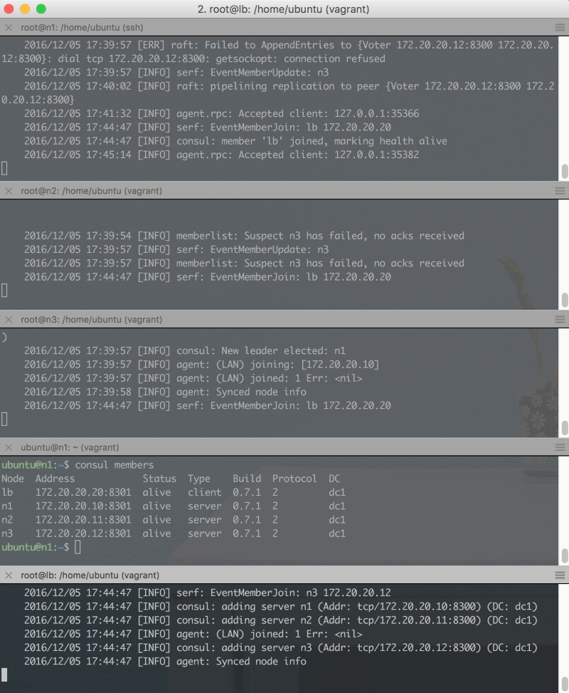 Consul servers and clients