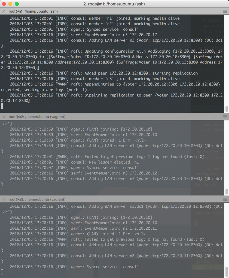 Consul cluster